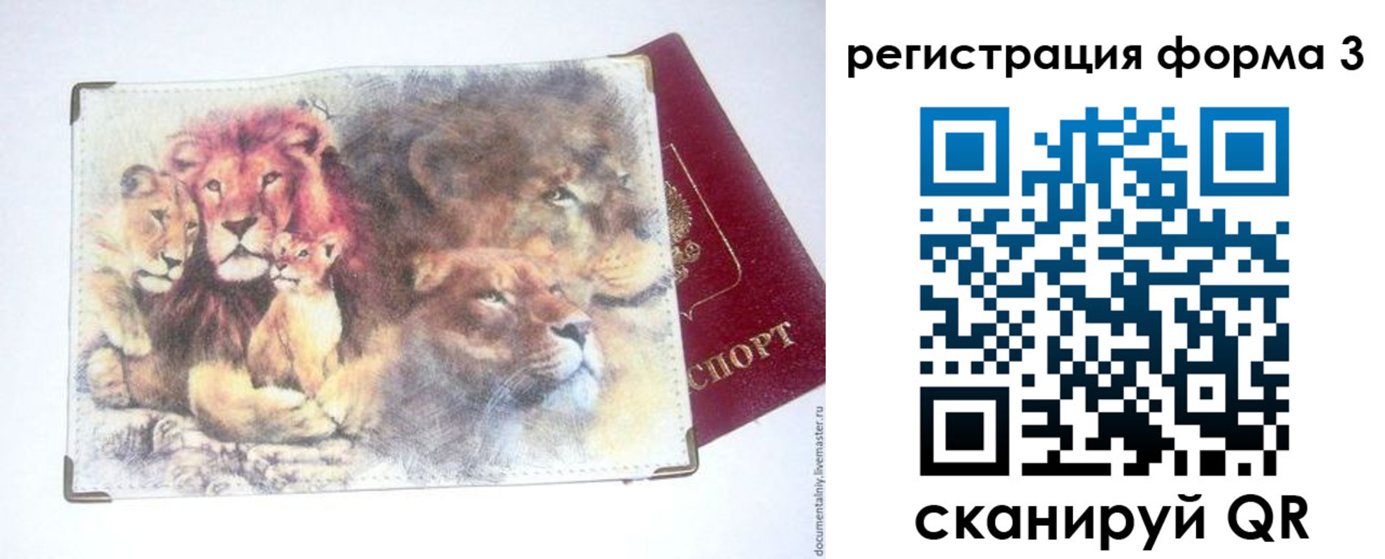 прописка в квартире в Мордовии